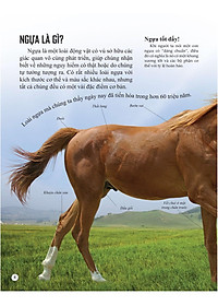 Sách Bách Khoa Tri Thức Về Khám Phá Thế Giới Cho Trẻ Em - Horses And Ponies - Loài Ngựa