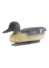 product-img-8
