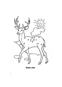 product-img-5