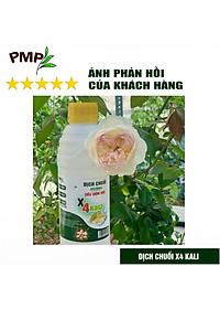 Combo 2 Chai Dịch Chuối Humic PMP Vi Sinh Chuyên Dùng Cho Hoa Hồng, Rau Sạch 1L/Chai