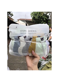 Sét 5 đôi tất lưới hình gấu cho bé