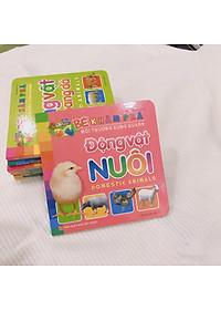 Sách: Combo Sách Bé Khám Phá Môi Trường Xung Quanh - Trọn Bộ