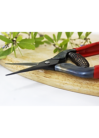 Kéo tỉa cành cao cấp Nhật Bản Chikamasa T-5C chiều dài lưỡi 35mm - lưỡi thép không gỉ chất lượng cao siêu bén - Cắt ngọt, không bám dính, liền sẹo nhanh