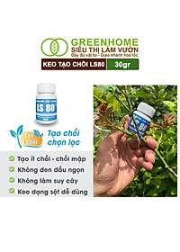 Keo Tạo Chồi LS80, Greenhome, Hũ 30gr, Tạo Mầm Tại Vị Trí Bất Kỳ, Có Chọn Lọc, Không Suy Cây, Đen Chồi