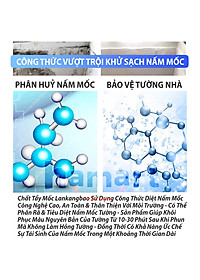 Chai Xịt Tẩy Mốc Tường Nhà 500ml LKB Tẩy Sạch Nấm Mốc Hiệu Quả Tiện Lợi Hàng Chính Hãng