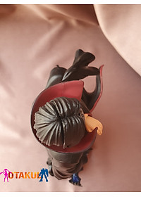product-img-8