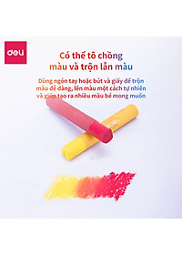 Bút Sáp Dầu Chuyên Nghiệp Deli - Hộp Giấy - 24/36 Màu - 72087 / 72088