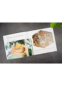 product-img-7