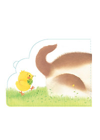 product-img-6