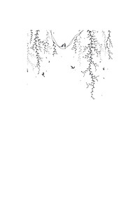 product-img-14