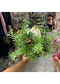 product-img-6
