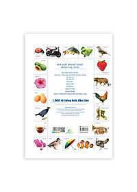 product-img-9