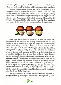 product-img-3