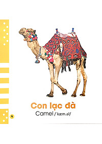 Từ Điển Bằng Hình Cho Bé - Các Loài Động Vật - Animals