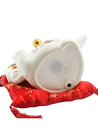 product-img-2