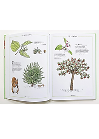 Sách Bách khoa thư cho cả nhà - Thế giới cây cối bằng tranh