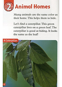 product-img-8