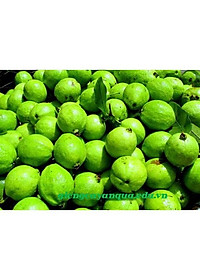 product-img-7