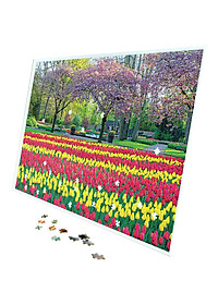 Tranh xếp Hình Tia Sáng Vườn Châu Âu (2035 Mảnh Ghép)