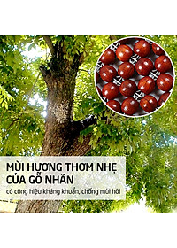 Miếng Đệm Hạt Gỗ PaKaSa Massage Ghế Ô TÔ , Xe Hơi , Ghế Văn Phòng KT 45 x 45 cm - Chính Hãng