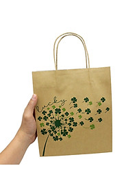 Túi Giấy Kraft - 22 x 25 x 8 cm - The Sun 02