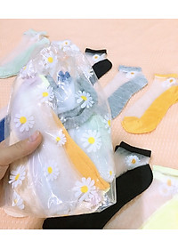 Sét 10 đôi tất lưới hoa cúc 
