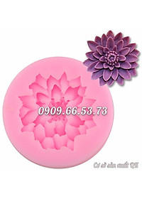 product-img-4