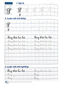 Sách Luyện Viết Đúng, Viết Đẹp 3 - Tập 2