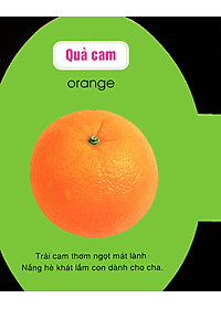 product-img-5