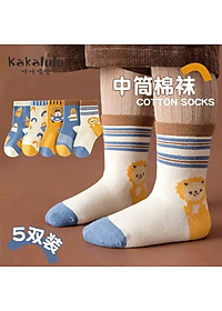 product-img-4