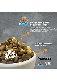 Thức Ăn Hạt Cho Chó Nutrience Subzero Có Hạt Thịt Tươi Bao 500g - Thịt Gà Tây, Cá Hồi, Cá Đại Dương, Rau Củ Và Trái Cây Tự Nhiên