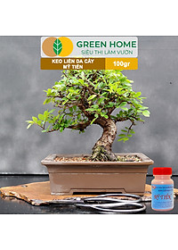 Keo Liền Sẹo Cho Cây Greenhome, Mỹ Tiến, Chai 100gr, Liền Nhanh Vết Cắt Da Cây, Chiết Cành, Tạo Dáng Bonsai, Lan, Kiểng