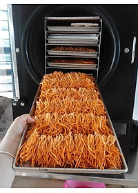 Đông trùng hạ thảo mật ong rừng Phúc Khang 300g - Hũ thủy tinh cao cấp - Công nghệ sấy thăng hoa - Chống lão hóa ,phòng ngừa ung thư ,tim mạch ,bồi bổ cơ thể ...làm quà biếu , quà tặng , bảo vệ sức khỏe