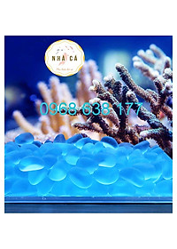 200g ĐÁ XANH PHỦ MỜ LÓT NỀN BỂ CÁ - ĐÁ THẦN KÌ - ĐÁ TRANG TRÍ HỒ CÁ