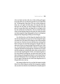 product-img-15