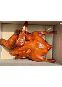 product-img-8