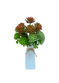 product-img-8