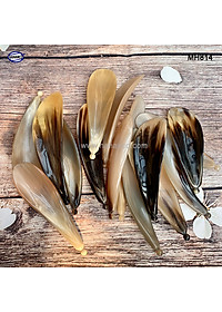 Miếng cạo gió bằng sừng, massage day ấn huyệt (MH814) Đả thông kinh mạch, lưu thông khí huyết - Chăm sóc sức khỏe