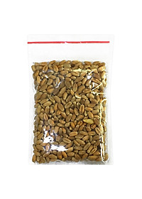 6 Gói Hạt Giống Cỏ Mèo Mỹ Kún Miu