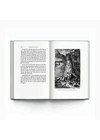 product-img-6