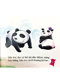 product-img-4