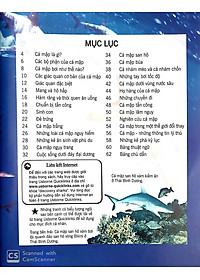 Sách Bách Khoa Tri Thức Về Khám Phá Thế Giới Cho Trẻ Em - Cá Mập (Tái Bản 2018)