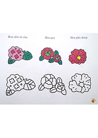 Sách Bàn Tay Nhỏ Vẽ Tranh - Thực Vật Phong Phú