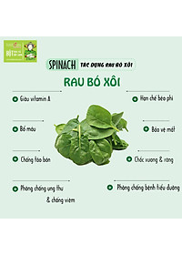 Bột cải bó xôi Dalahouse 60gr (mẫu mới gồm 20 tuýp tiện dụng)- Hữu cơ nguyên chất sấy lạnh - Đạt tiêu chuẩn Châu Âu