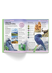 Sách Bách Khoa Cho Trẻ Em – Bách Khoa Tự Nhiên