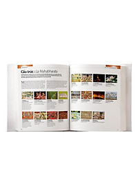 Sách Mahabharata Bằng Hình - Thiên Sử Thi Vĩ Đại Nhất Của Ấn Độ