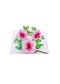 product-img-3