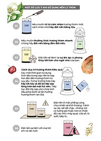 Nến ly tròn sáp đậu nành Yankee Candle size L (567g) - Fresh Cut Roses