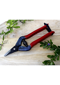 Kéo tỉa cành cao cấp Nhật Bản Chikamasa S-2C chiều dài lưỡi 23mm -  lưỡi thép carbon chất lượng cao siêu bén - Cắt ngọt, không bám dính, liền sẹo nhanh