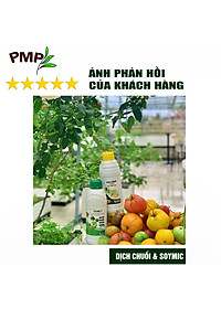 Combo Phân Đậu Nành Soymic V - Dịch Chuối Cho Rau Sạch